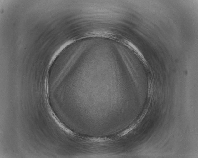 X0000081440796200702021716