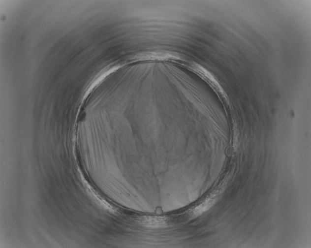 X0000081440802200702021716