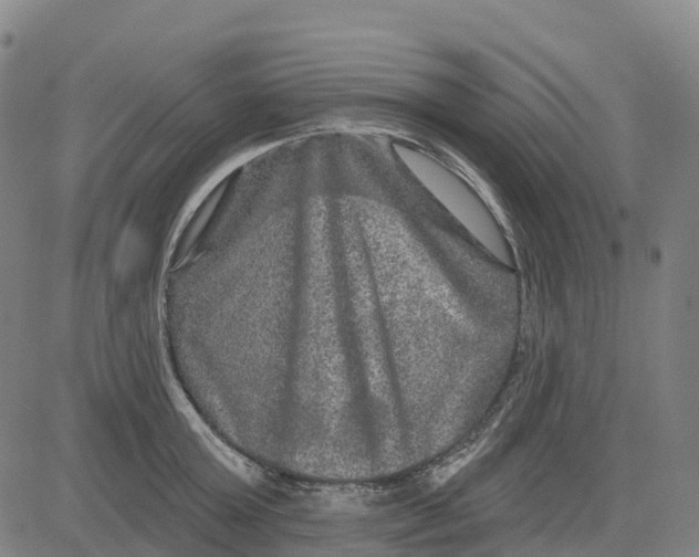 X0000081440803200702021716