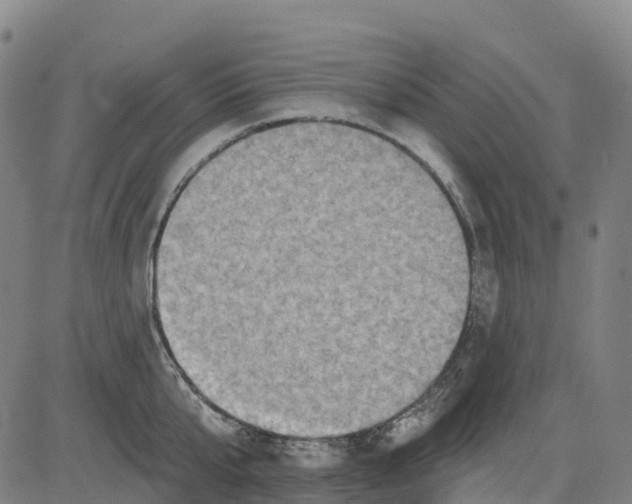 X0000081440807200702021716