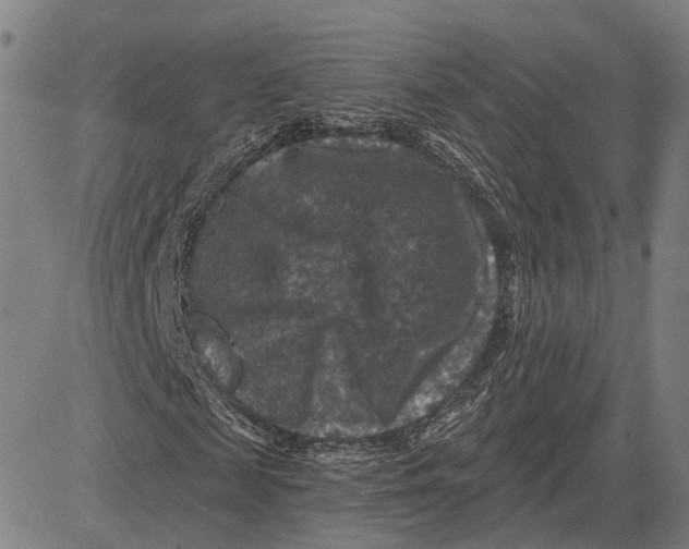 X0000081440817200702021715