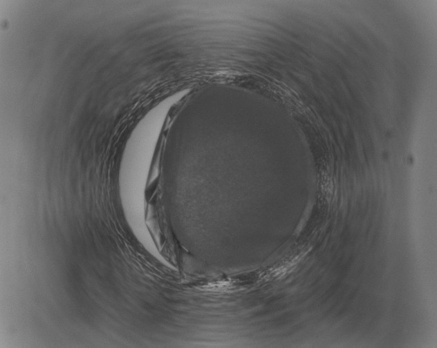 X0000081440818200702021715