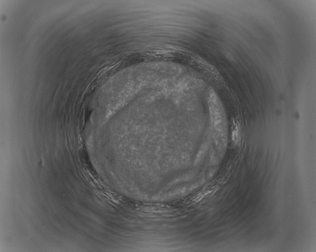 X0000081440819200702021715