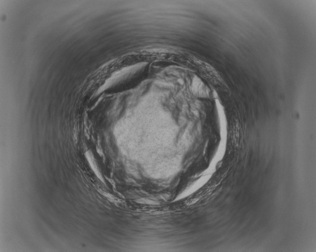 X0000081440821200702021715