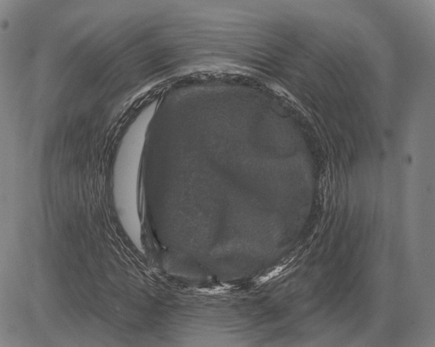 X0000081440822200702021715