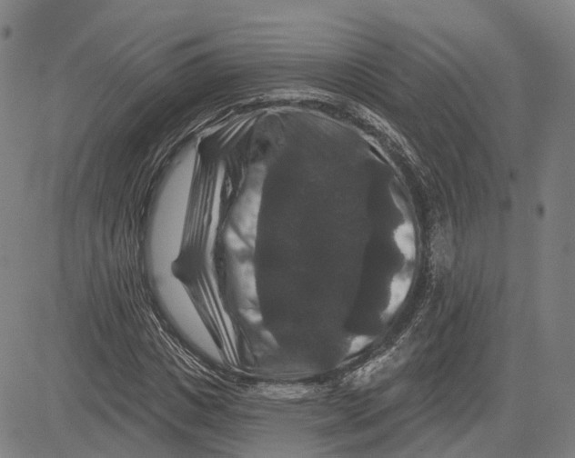 X0000081440825200702021715