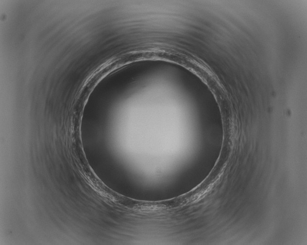 X0000081440826200702021715