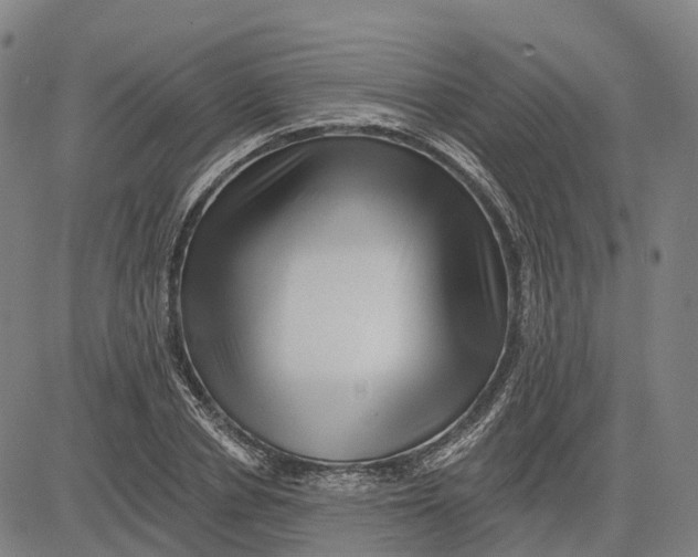 X0000081440834200702021715