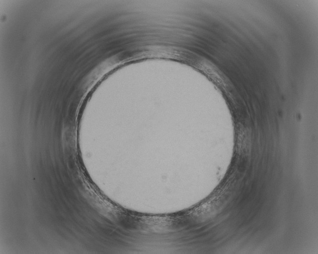 X0000081440836200702021715