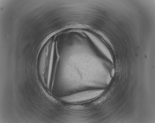X0000081440837200702021715