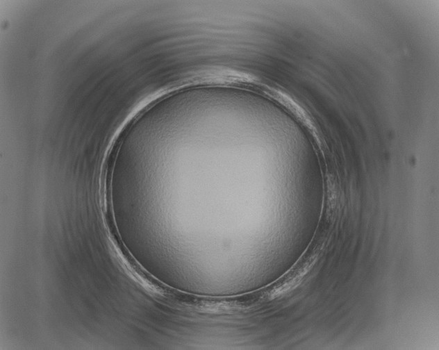 X0000081440843200702021715