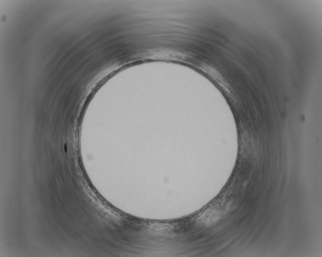 X0000081440848200702021715
