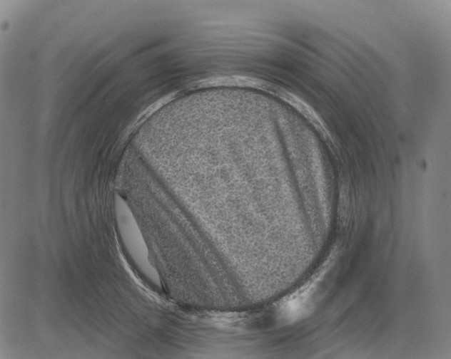 X0000081440849200702021715