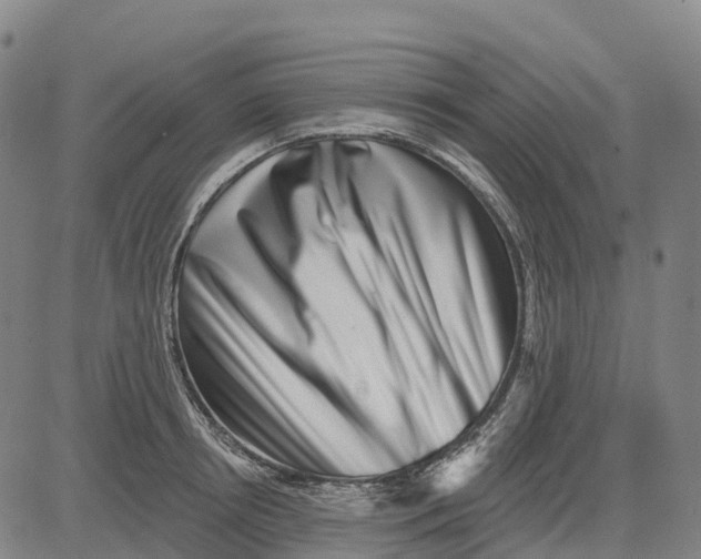 X0000081440850200702021715