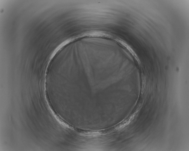 X0000081440853200702021715