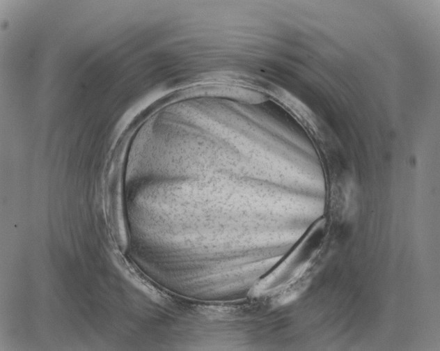 X0000081440854200702021715