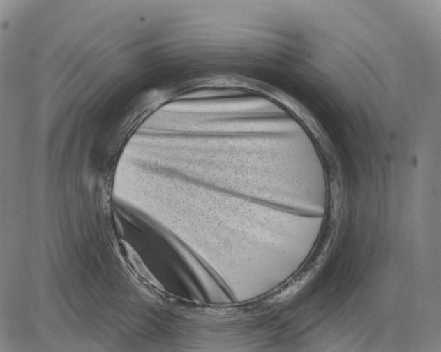 X0000081440857200702021715