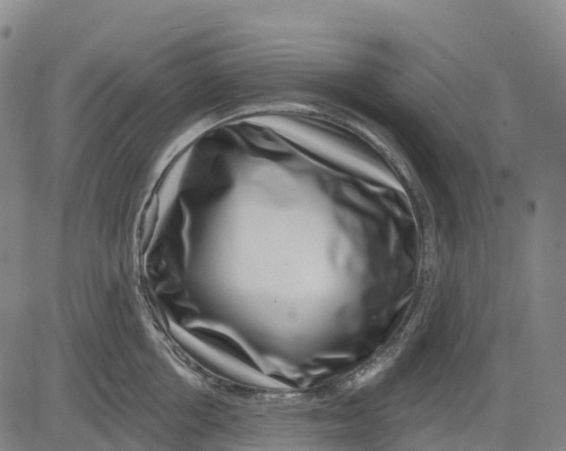 X0000081440858200702021715