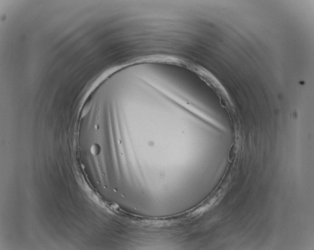 X0000081440860200702021715