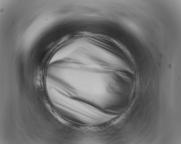 X0000081440862200702021716
