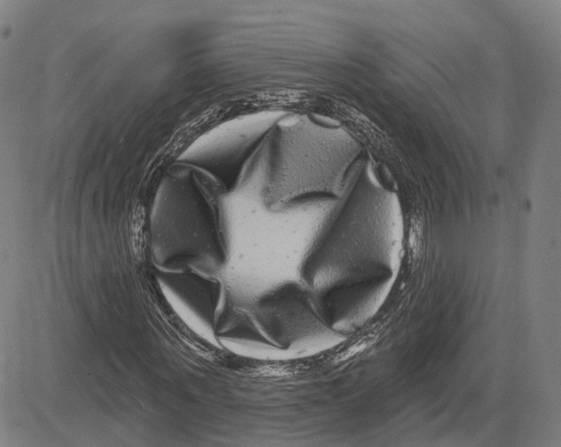 X0000081440867200702021715
