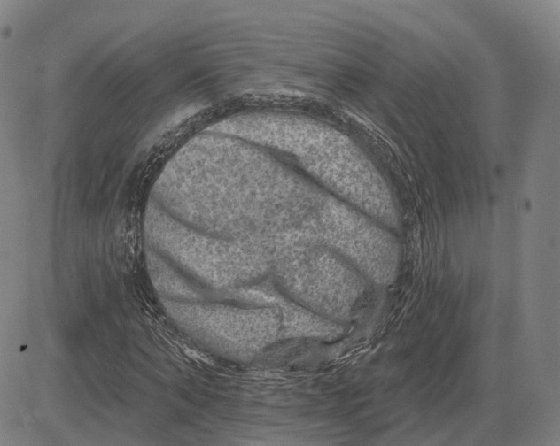 X0000081440870200702021715