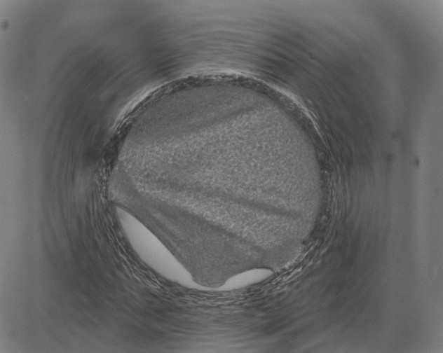 X0000081440871200702021715