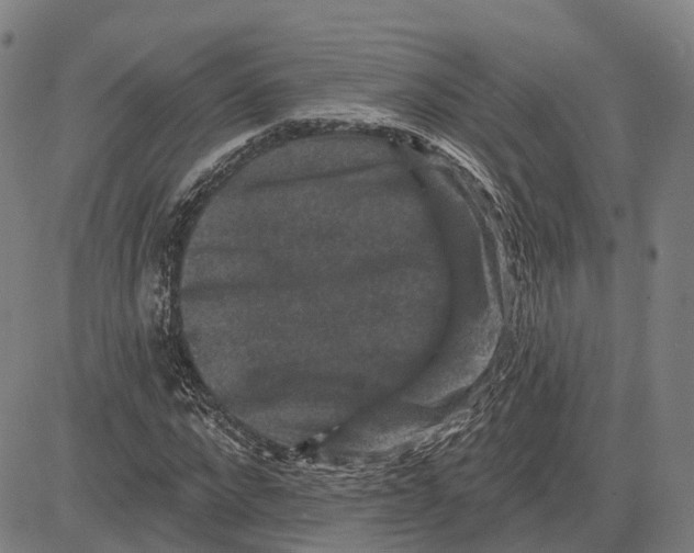 X0000081440872200702021715