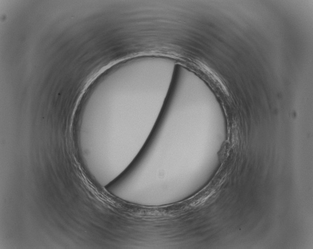 X0000081440876200702021715