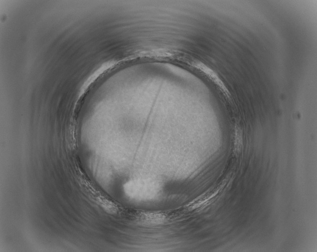 X0000081440878200702021715