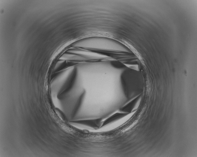 X0000081440885200702021714
