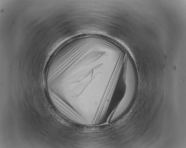 X0000081440887200702021714