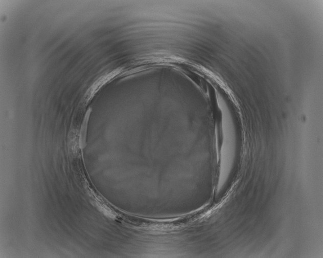 X0000081440889200702021714