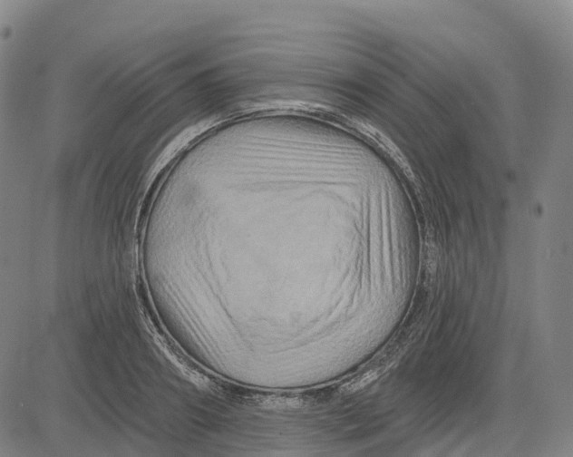 X0000081440890200702021714