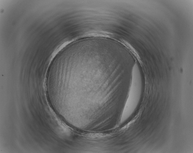 X0000081440893200702021714