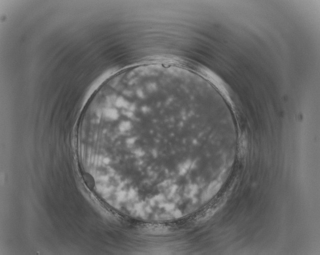 X0000081440907200702021714