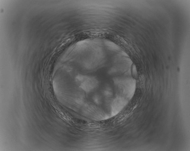 X0000081440913200702021713