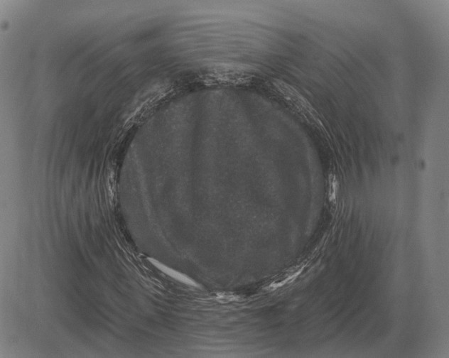 X0000081440915200702021713