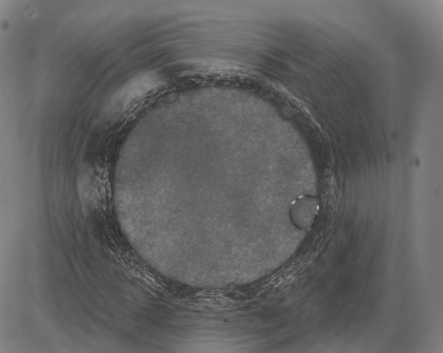 X0000081440918200702021713