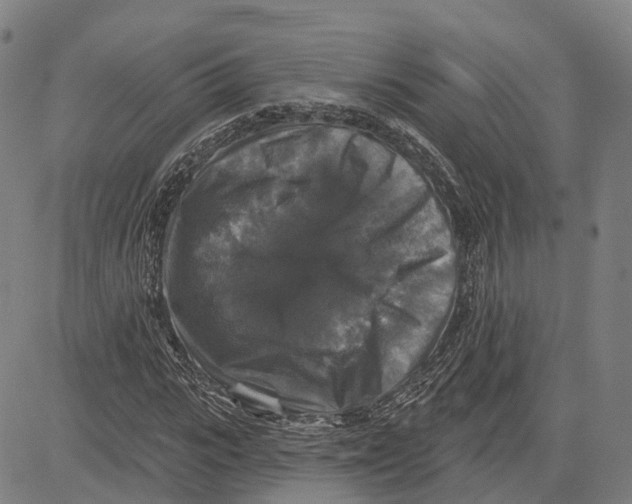 X0000081440919200702021713