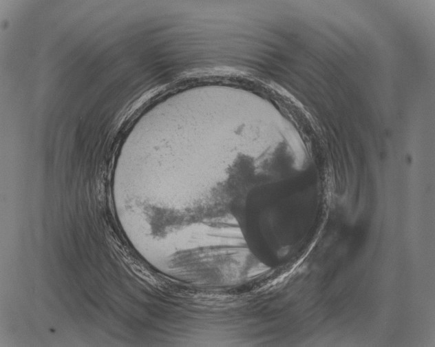 X0000081440921200702021713
