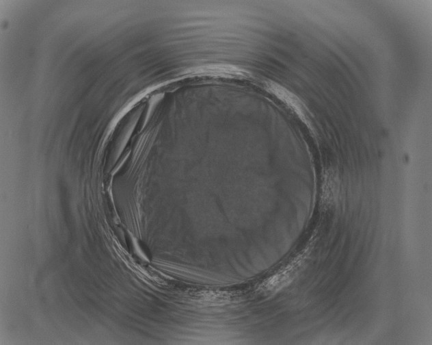 X0000081440923200702021713