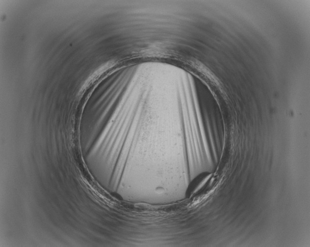 X0000081440930200702021714