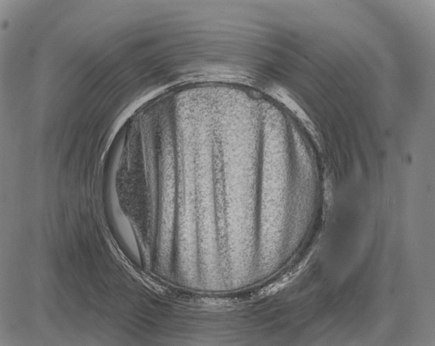 X0000081440933200702021714