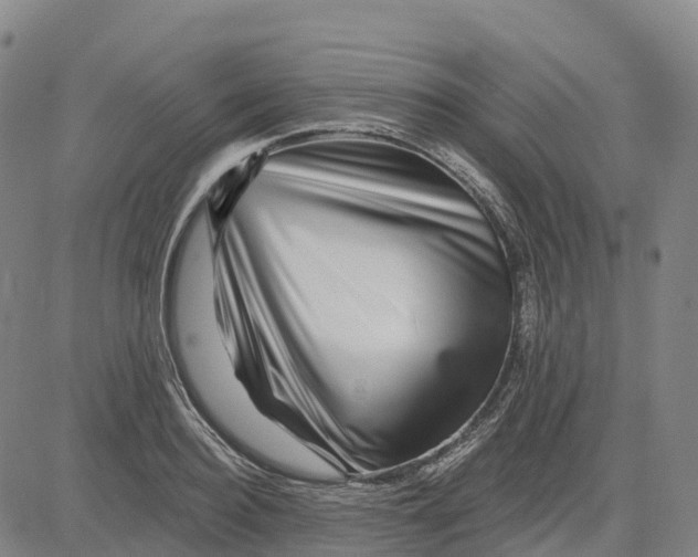 X0000081440940200702021714