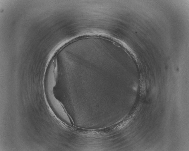 X0000081440943200702021714