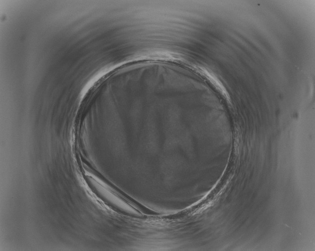 X0000081440944200702021714