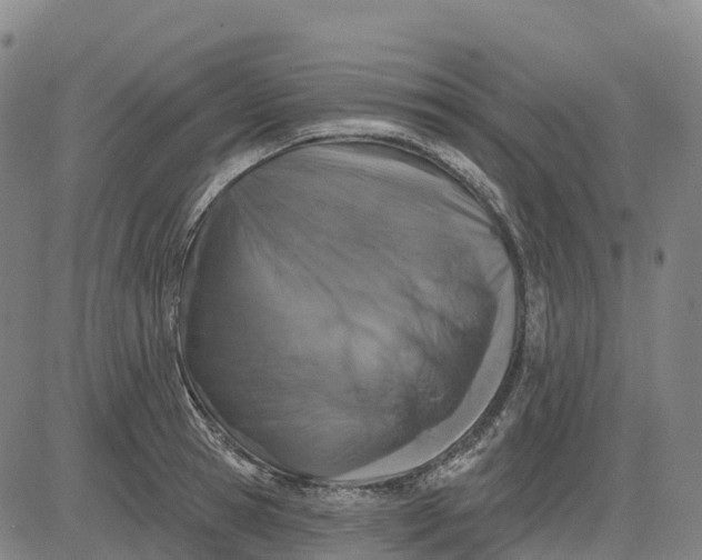 X0000081440945200702021714
