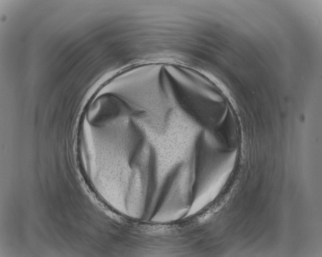 X0000081440949200702021714