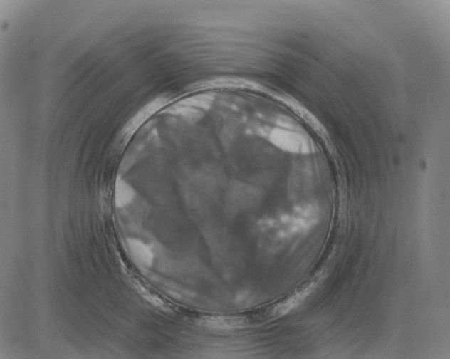 X0000081440953200702021714